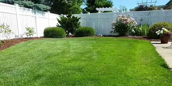 A well-maintained green lawn featuring shrubbery and flowers maintained by Midwest Turf And Forage